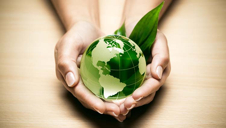 Transition écologique